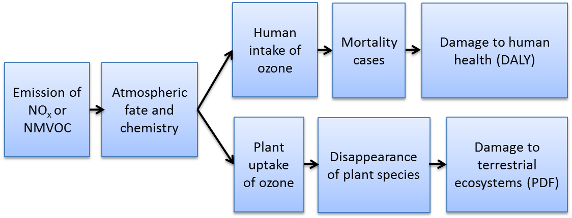 picture of Cause-effect pathway